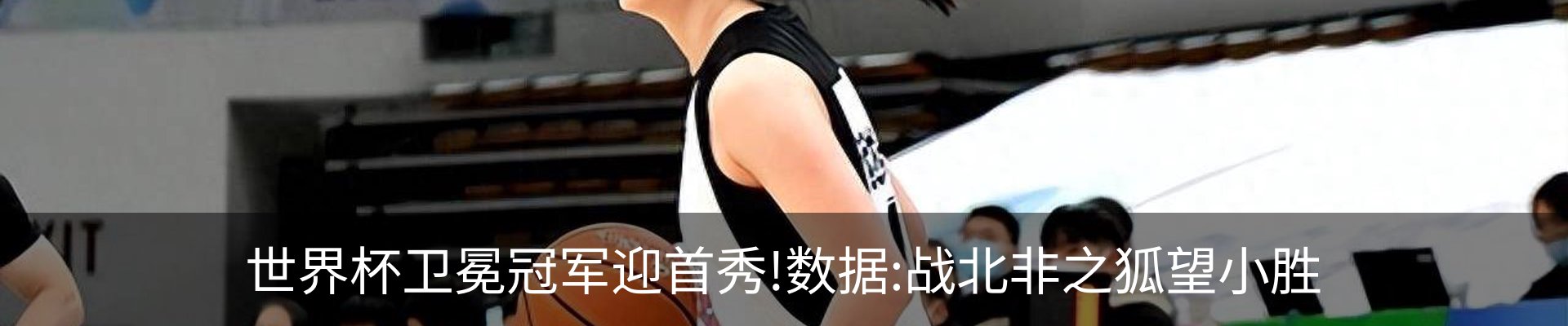 新闻动态