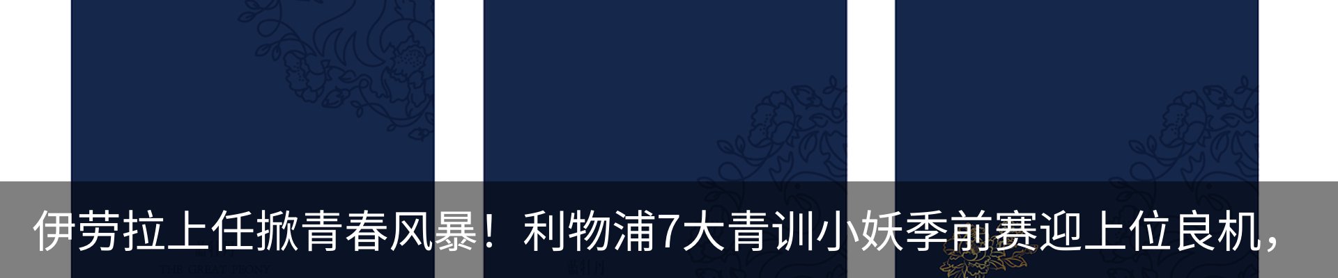 新闻动态